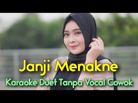 JANJI MENAKNE Karaoke Duet Tanpa Vocal Cowok || Gilga Feat Mira Putri || Voc Minthul