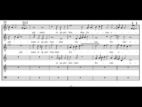 Lassus: Quam pulchra es