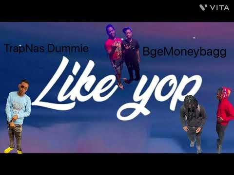 TrapNas Dummie X Stashin100k - Like Yhop