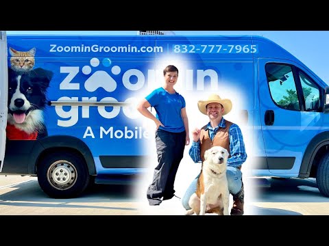 Blue mobile pet grooming van with two staff and a dog in front; large 'ZoominGroomin' branding and phone number on the side.