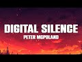 Peter McPoland Digital Silence Lyrics