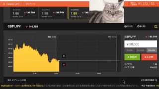 【FX】2万円負けたのでデモで練習して取り返す【BO】１