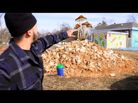 Composting Mushroom Blocks and More