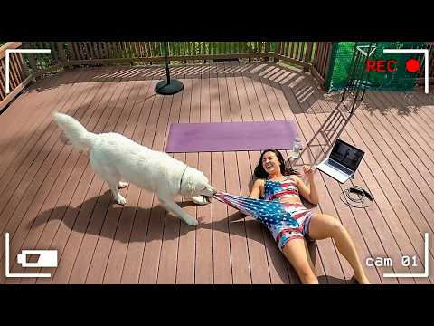 Caught in 4K! Funniest Security Camera Fails