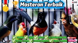Download lagu MASTERAN MURAI TERBAIK 🥇 TEMBAKAN RAPAT √ BRENNN √ ROLLL √ JERNIH 🟢 mp3