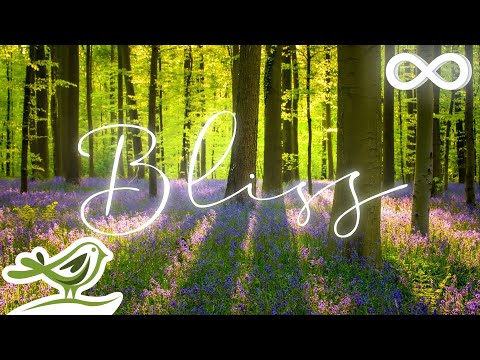 Soothing Relaxation and LOST in Nature