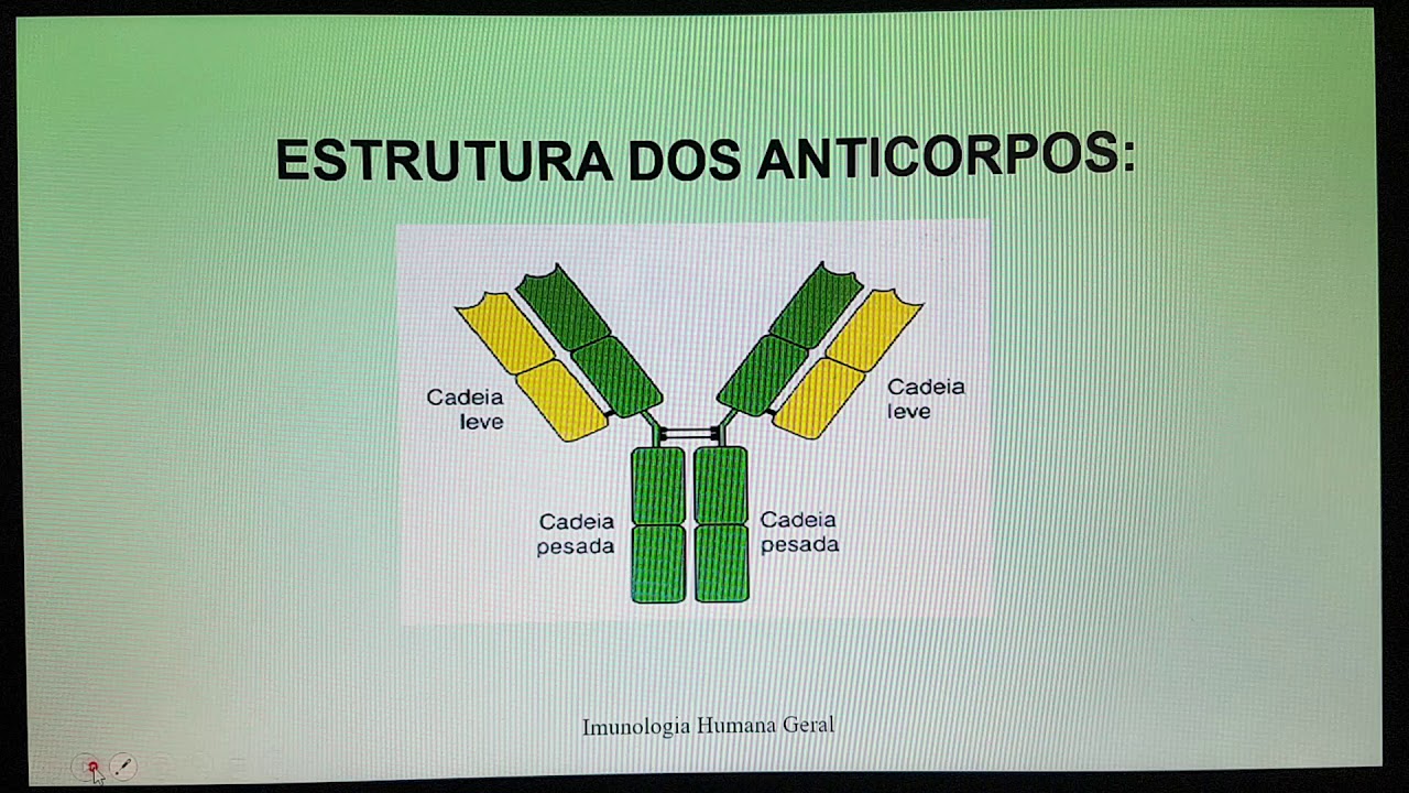 IMUNOLOGIA- Anticorpos parte 1