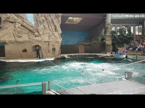 Yeni kanalimiza hoşgeldiniz