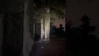 Download lagu ape tu .. BANGLO FARAH mp3