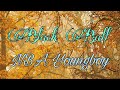 Black Ball NBA Younboy Lyrics