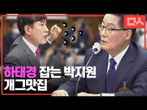 하태경 vs 박지원, 학력제기 가볍게 제압. 개그맛집