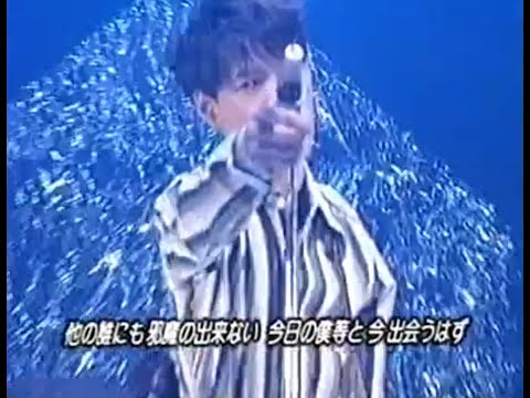 L⇔R  NICE TO MEET YOU