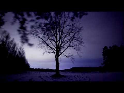 Kapela Ze Wsi Warszawa - Step Owy (Warsaw Village Band - Step This and That)