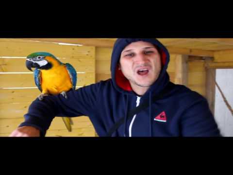 Robin Du Bitume - Intro: J'Débarque (clip)