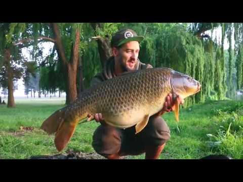 Donnies se dukkes - Karpioene 2018