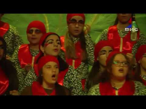 Концерт под маски ,,Џунглата'' на ОМУ ,,Боро Џони''' 2019