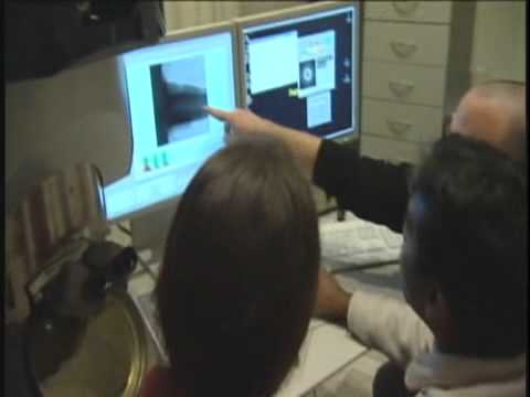 The Russell Berrie Nanotechnology Institute