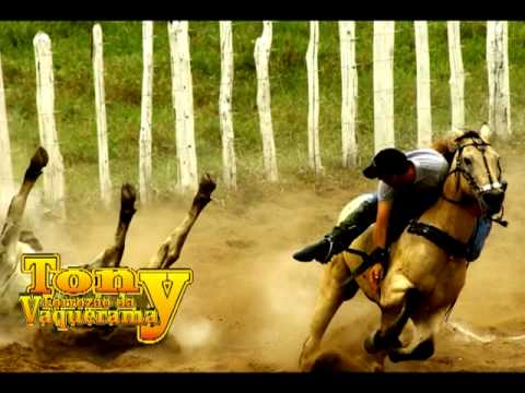 TONY FORROZÃO DA VAQUERAMA - LAMENTO DO CAVALO