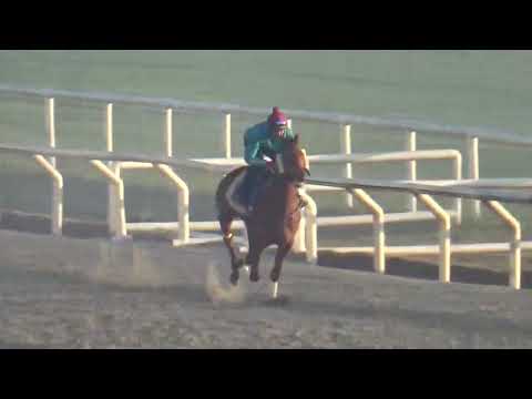 DON BLONDIS(Brz)-REVISTA INVASOR