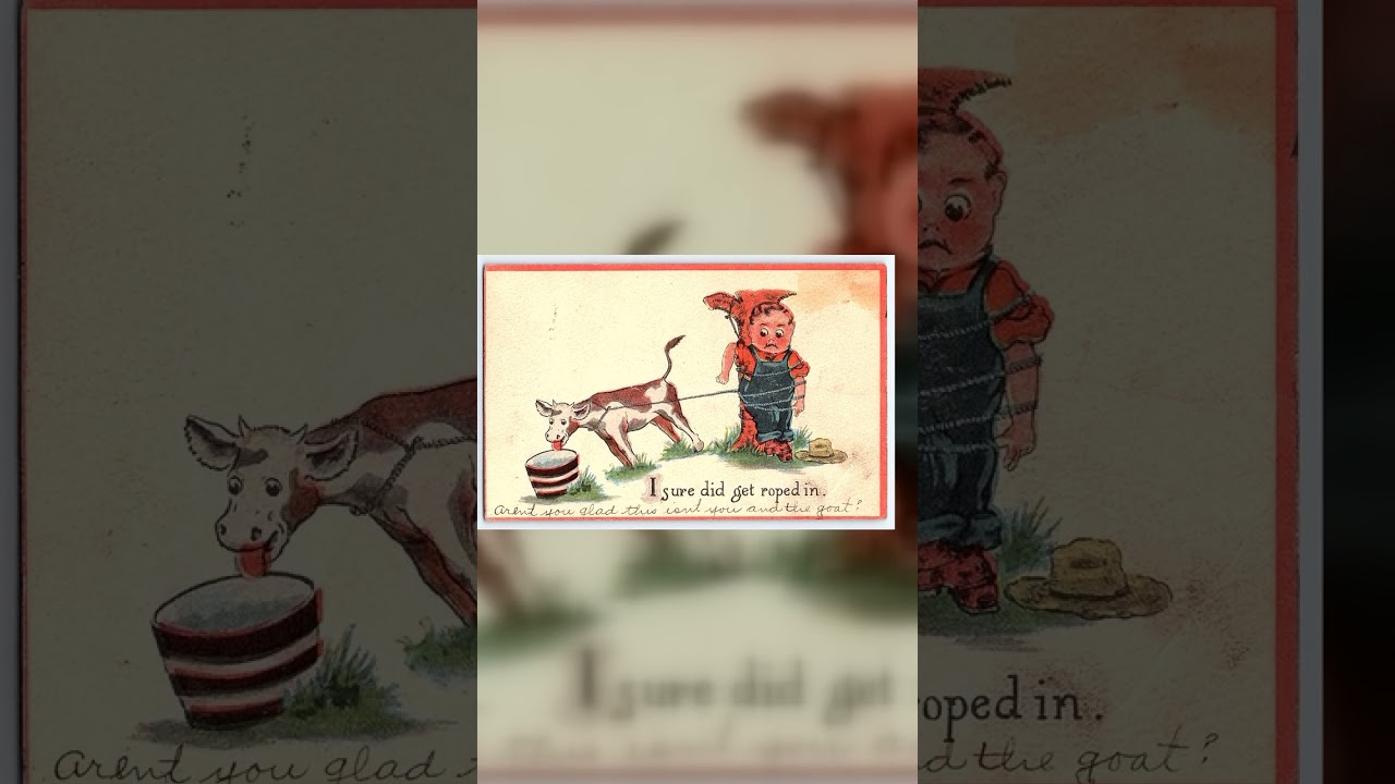 Humorous Postcard, Divided Back, Boy and Calf, 1913 Postmark, Eagle Bend, MN Video