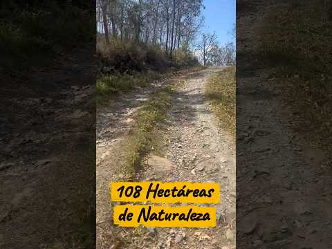 Finca en Venta en Usumatlán, Zacapa. #bienesraices #usumatlán