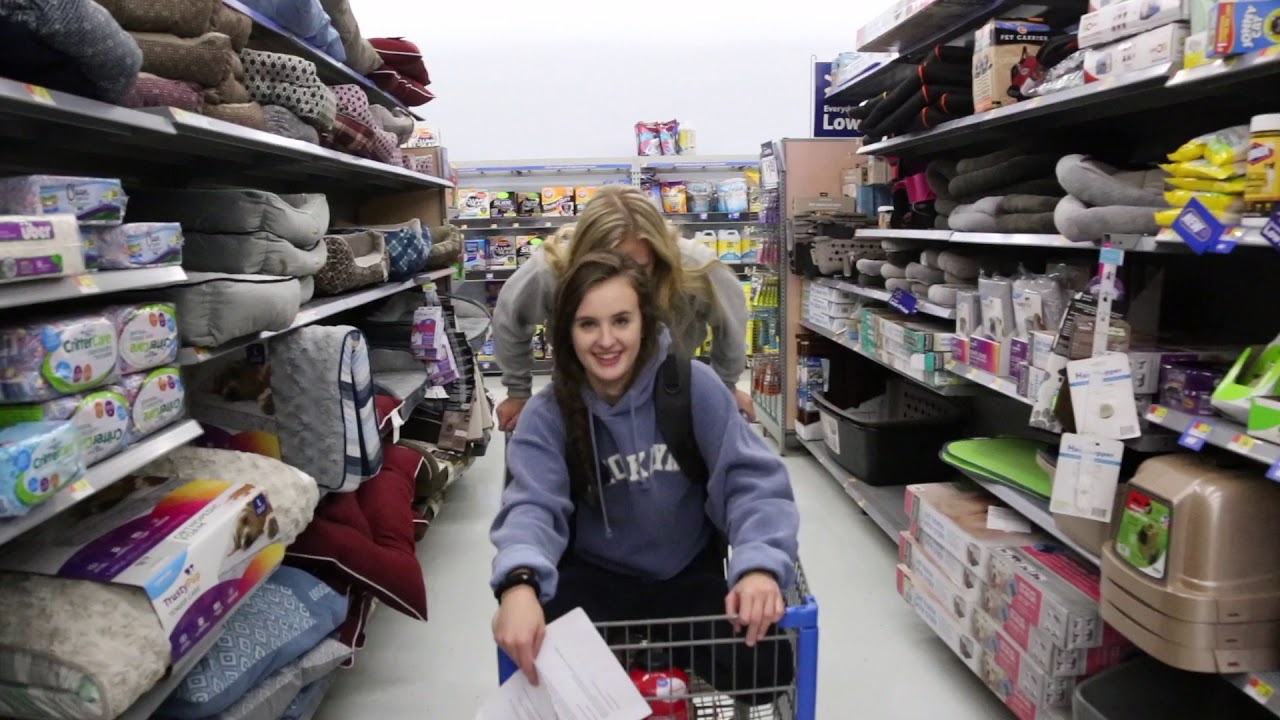 Phava's Declassified Alien Survival Guide