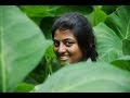 Kayal Official Trailer D Imman Anandhi Chandran