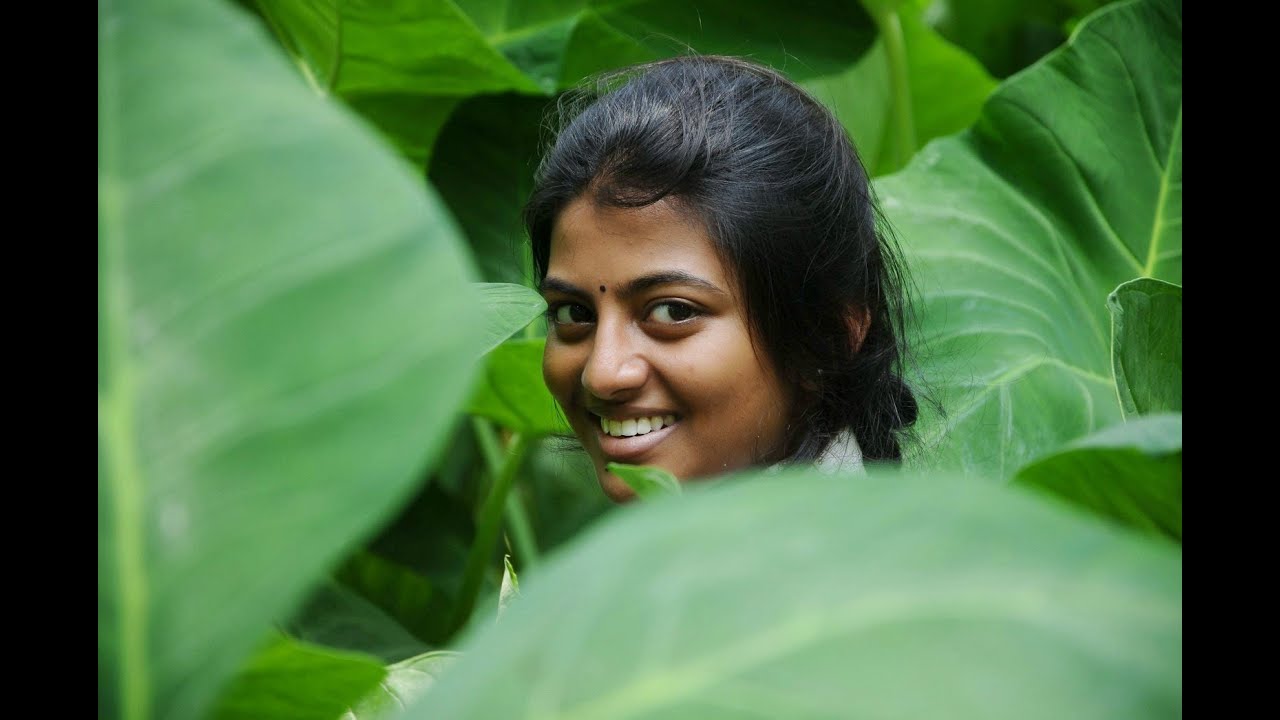 Kayal - Official Trailer | D. Imman | Anandhi, Chandran