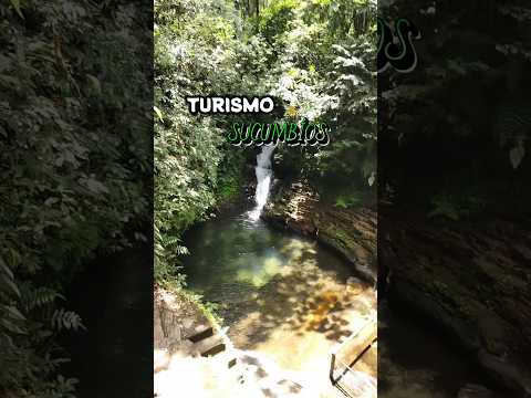 Turismo local aquí en Sucumbíos 🏞️💚#turismo #sucumbios #mundo #naturaleza #ecoturismo