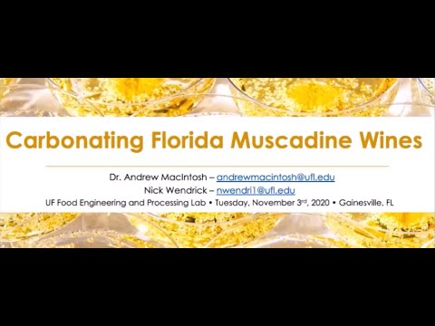 Muscadine Grape Sparkling Wine