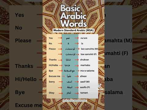Basic Arabic Words