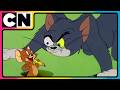 Tom And Jerry T J S Summer Escapades ️ Cat And The Mouse Animated Cartoon Cnindia