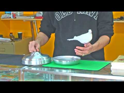 Dove Pan (Low Profile)