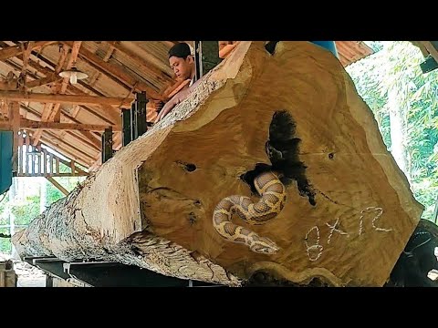 unexpected surprise while sawing giant teak logs at the sawmill