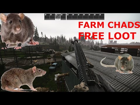 BEST WOODS Rat Spots in Tarkov