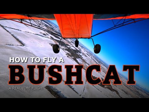 How To Fly a BushCat
