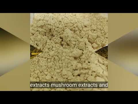 Scutellaria Baicalensis Extract Powder