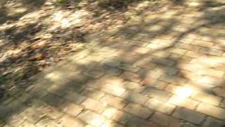 Gavin's Reef Thongs with Built in Bottle Opener