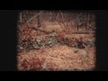 Duncan Sheik - "Stripped" (The Song That Changed My Life: Series)