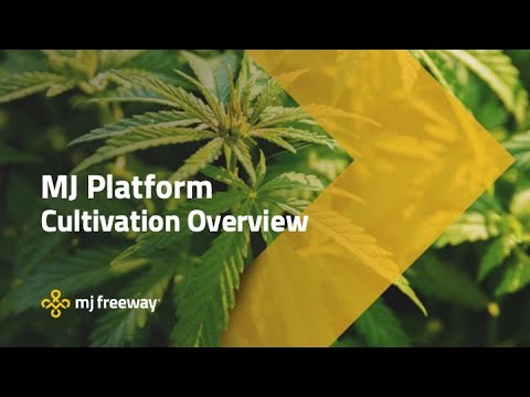 Mj Platform Cultivation Overview