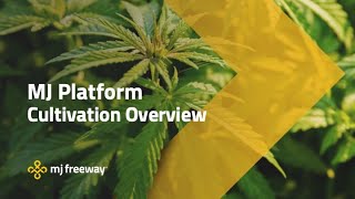 MJ Platform Cultivation Overview