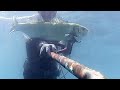 Regardez "chasse sous marine fin juin 2015" sur YouTube