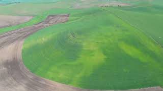 743 +/- Acres 4 Miles south of Pullman, WA