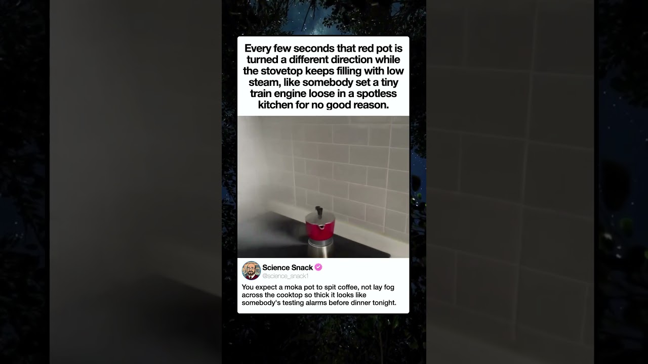 TINY POT BIG PROBLEM