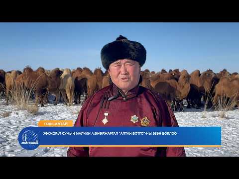 ГОВЬ-АЛТАЙ: Хөхморьт сумын малчин А.Өнөржаргал “Алтан ботго”-ны эзэн боллоо