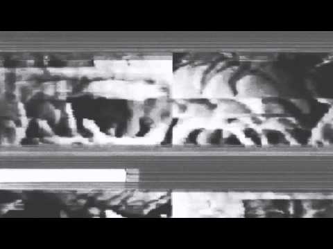 Neon Electronics / NE - 157