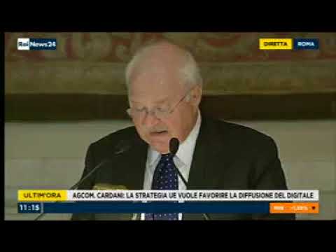 Relazione Annuale al Parlamento 2018 - servizio Rainews24