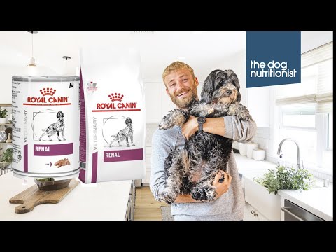 Royal Canin Kidney/Renal Dog Food Review (Dry&Wet) - The Dog Nutritionist