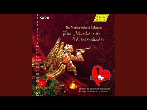 Brandenburg Concerto No. 2 in F Major, BWV 1047: I. Allegro