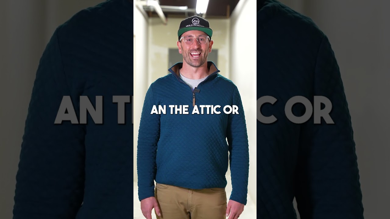 Mold Found During House Sale! What to Do? | Mold Removal Express